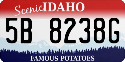 ID license plate 5B8238G