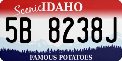 ID license plate 5B8238J