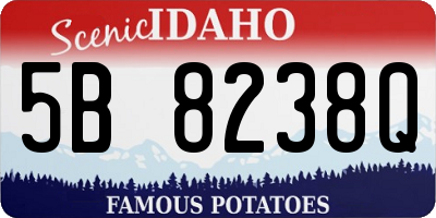 ID license plate 5B8238Q