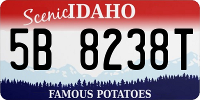 ID license plate 5B8238T
