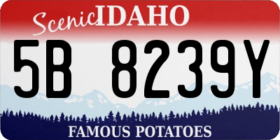 ID license plate 5B8239Y