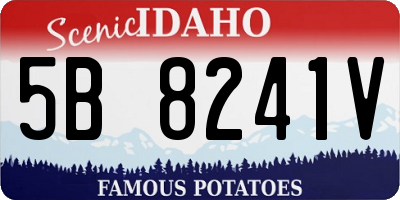 ID license plate 5B8241V