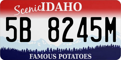 ID license plate 5B8245M