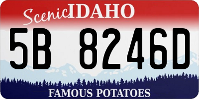ID license plate 5B8246D