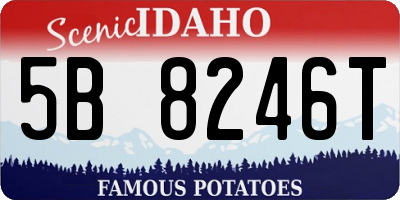ID license plate 5B8246T