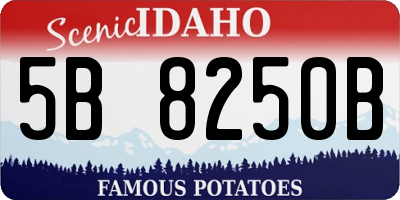 ID license plate 5B8250B