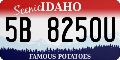 ID license plate 5B8250U