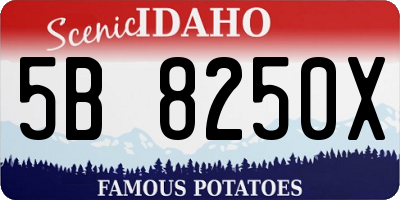 ID license plate 5B8250X