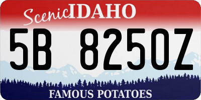 ID license plate 5B8250Z
