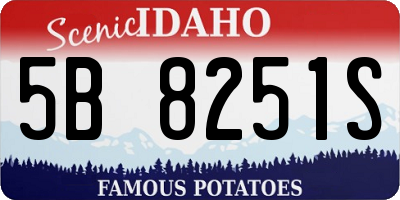 ID license plate 5B8251S