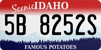 ID license plate 5B8252S