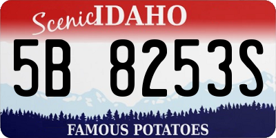 ID license plate 5B8253S