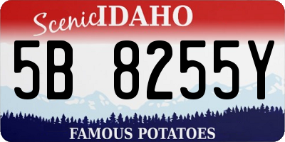 ID license plate 5B8255Y