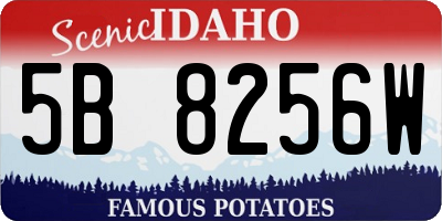 ID license plate 5B8256W