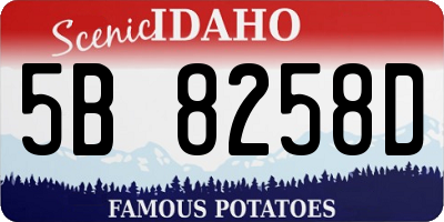 ID license plate 5B8258D