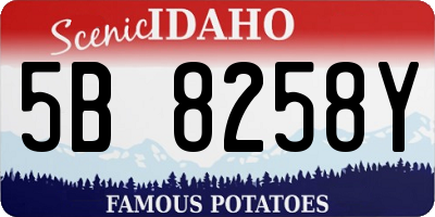 ID license plate 5B8258Y
