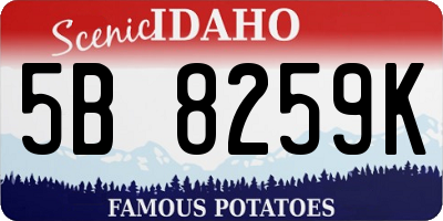 ID license plate 5B8259K