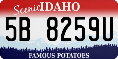 ID license plate 5B8259U