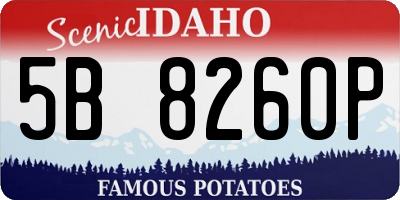 ID license plate 5B8260P