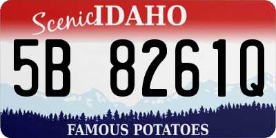 ID license plate 5B8261Q