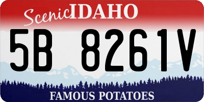 ID license plate 5B8261V