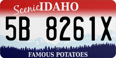 ID license plate 5B8261X