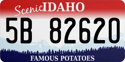 ID license plate 5B8262O