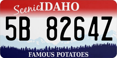 ID license plate 5B8264Z