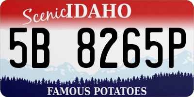 ID license plate 5B8265P