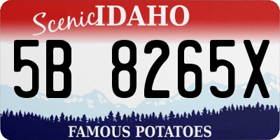 ID license plate 5B8265X