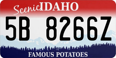 ID license plate 5B8266Z