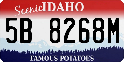 ID license plate 5B8268M