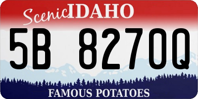 ID license plate 5B8270Q