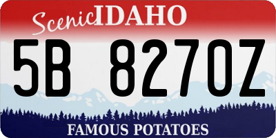 ID license plate 5B8270Z