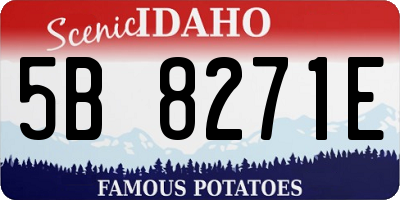 ID license plate 5B8271E
