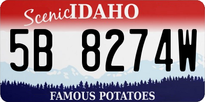ID license plate 5B8274W