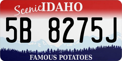 ID license plate 5B8275J