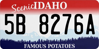 ID license plate 5B8276A