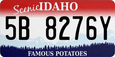 ID license plate 5B8276Y