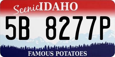 ID license plate 5B8277P