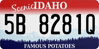 ID license plate 5B8281Q
