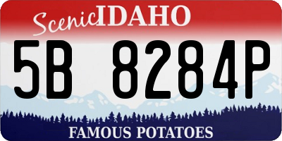 ID license plate 5B8284P