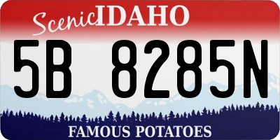 ID license plate 5B8285N