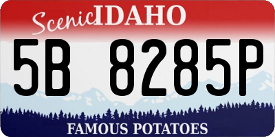 ID license plate 5B8285P