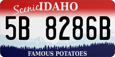 ID license plate 5B8286B