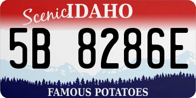 ID license plate 5B8286E