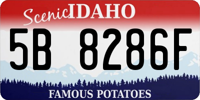 ID license plate 5B8286F