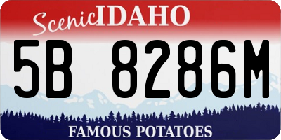 ID license plate 5B8286M