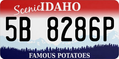 ID license plate 5B8286P
