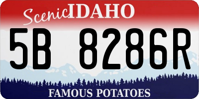 ID license plate 5B8286R